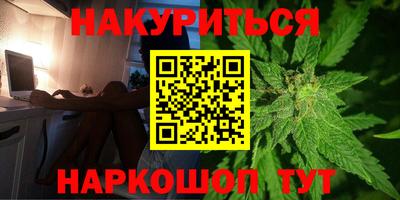 спиды Гай