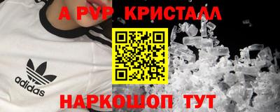 спиды Гай