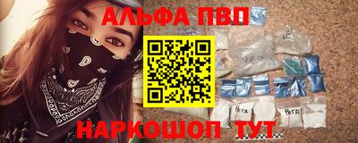 спиды Гай