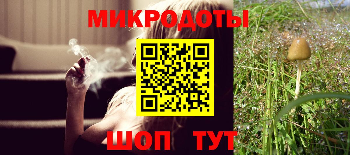 Псилоцибиновые грибы MAGIC MUSHROOMS Топки