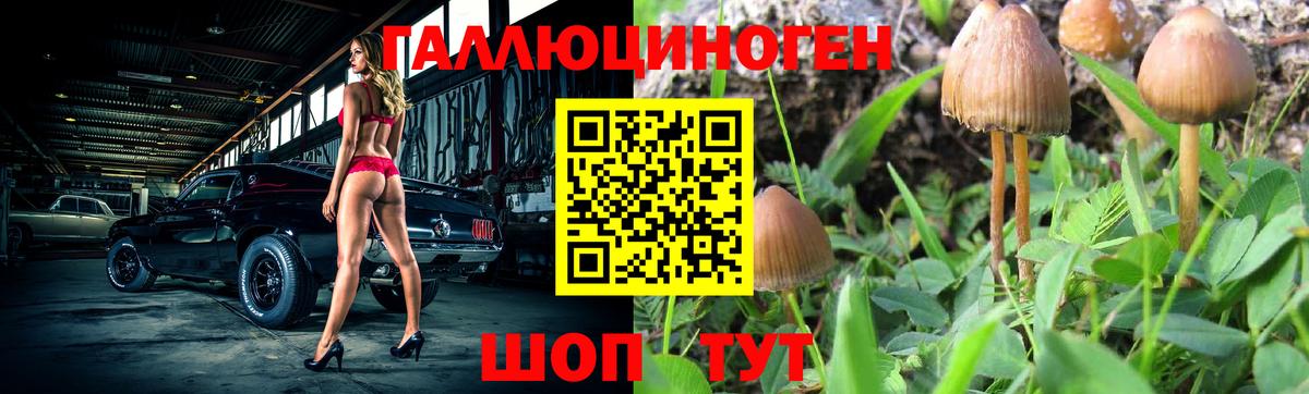 Псилоцибиновые грибы GOLDEN TEACHER  Галлюциногенные грибы мухоморы  Вход с VPN  Топки 